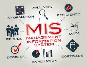 MANAGEMENT INFORMATION SYSTEMS