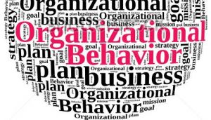 MANAGERIAL PRACTICES AND ORGANIZATION BEHAVIOR