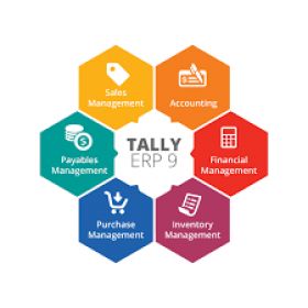 FINANCIAL ACCOUNTING WITH TALLY.ERP9